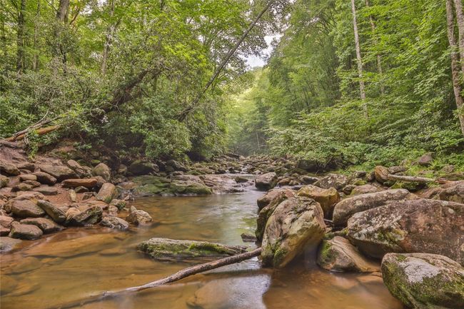 Community access to the Tuckasegee River | Image 99