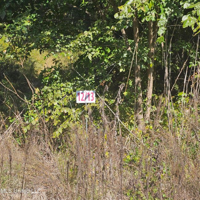 20241010_112014 | Image 4