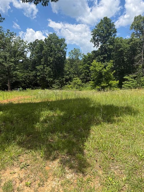 Lot 2 Pig Road, Smiths Grove, KY, 42171 | Card Image
