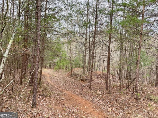 0 Mountain Ridge Dr, Home with 0 bedrooms, 0 bathrooms and null parking in Dahlonega GA | Image 10