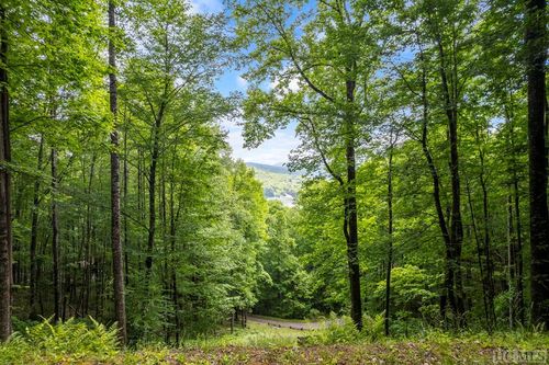12 Von Trapp Ln, Tuckasegee, NC, 28783 | Card Image