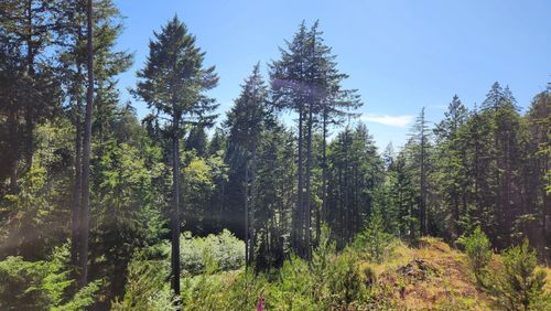 1765 Cape Dr, Bowen Island, BC, V0N1G2 | Card Image