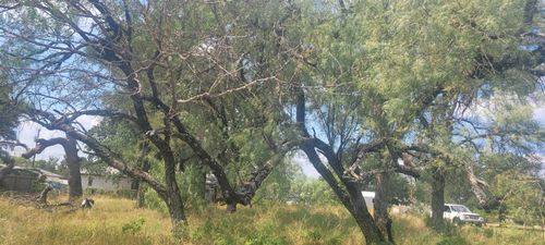 TBD Kingsmoon Dr, Marble Falls, TX, 78654 | Card Image