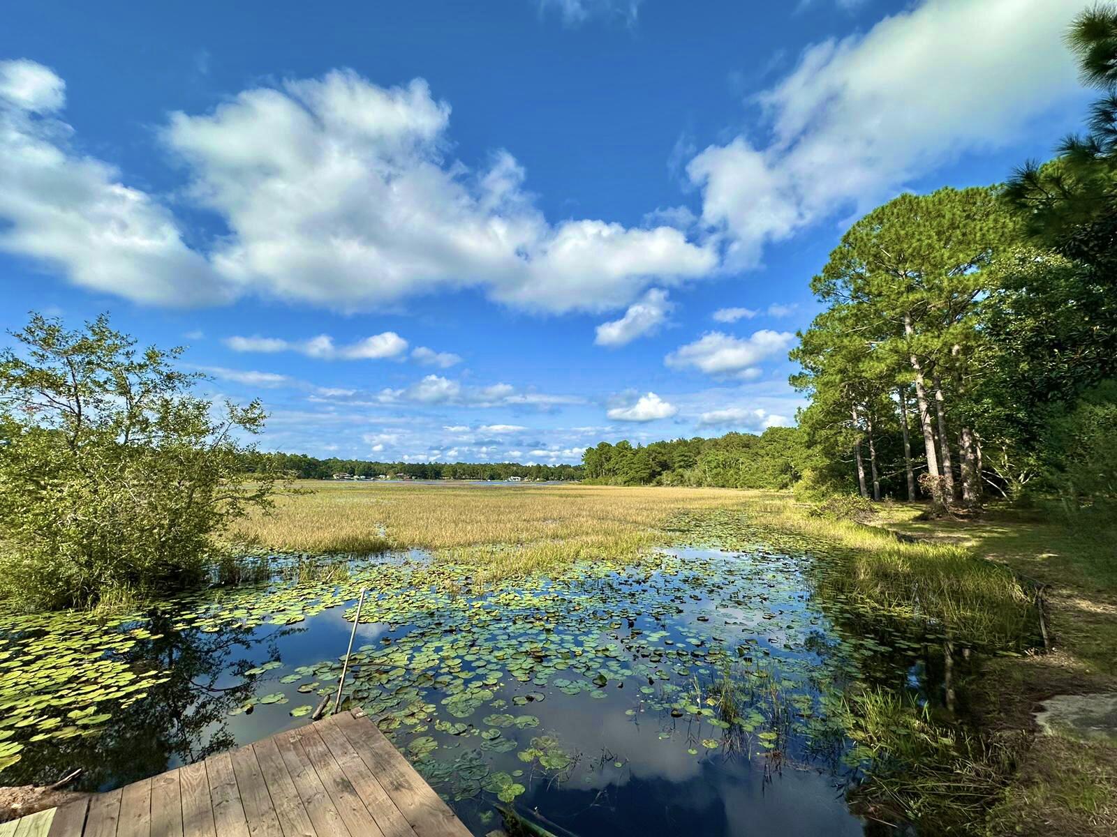 Marion Dr, Defuniak Springs, FL 32433