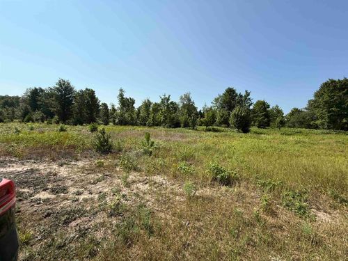 Parcel A 7 S Bright Road, Kasson Township, MI, 49664 | Card Image