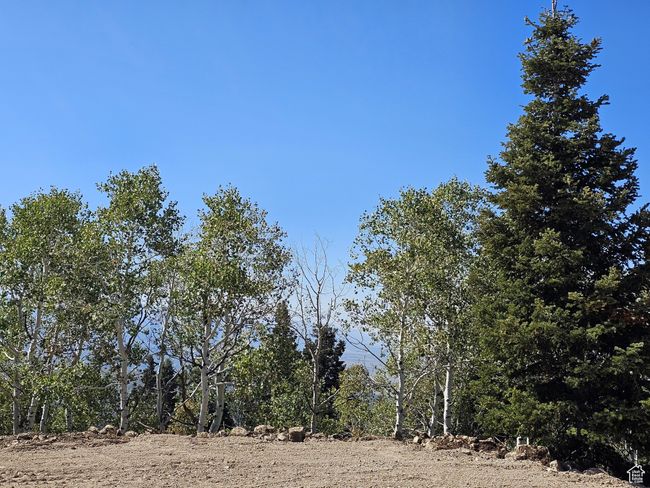 View of landscape | Image 7