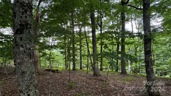 530 El Miner Dr, Home with 0 bedrooms, 0 bathrooms and null parking in Mars Hill NC | Image 9