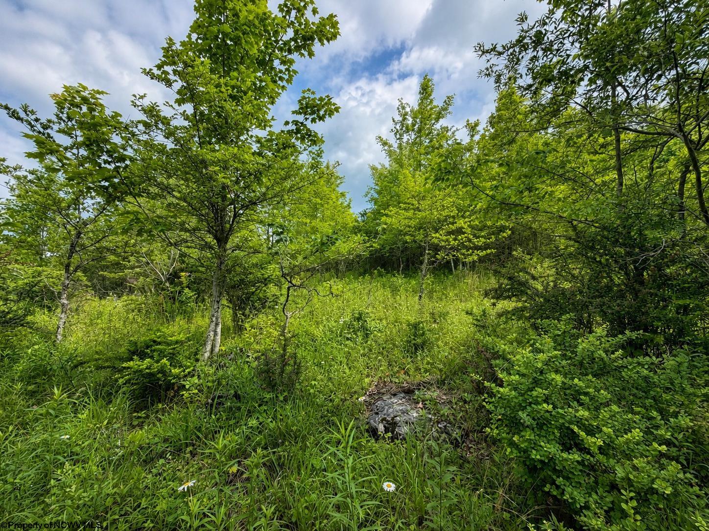 Land in Dryfork 5