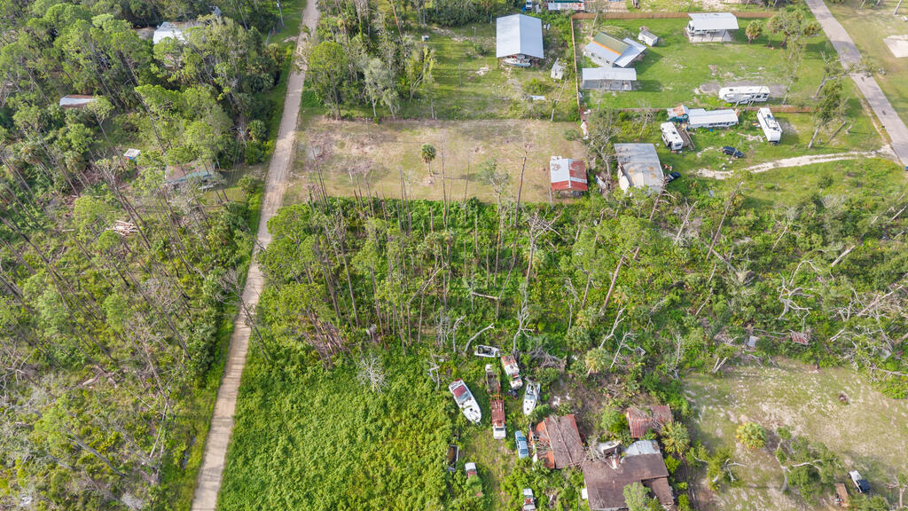 Land in Steinhatchee 4