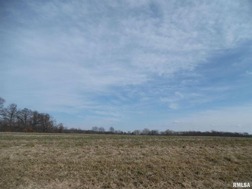 Tract 1 N Mcdermott Lane, Mt Vernon, IL, 62864 | Card Image