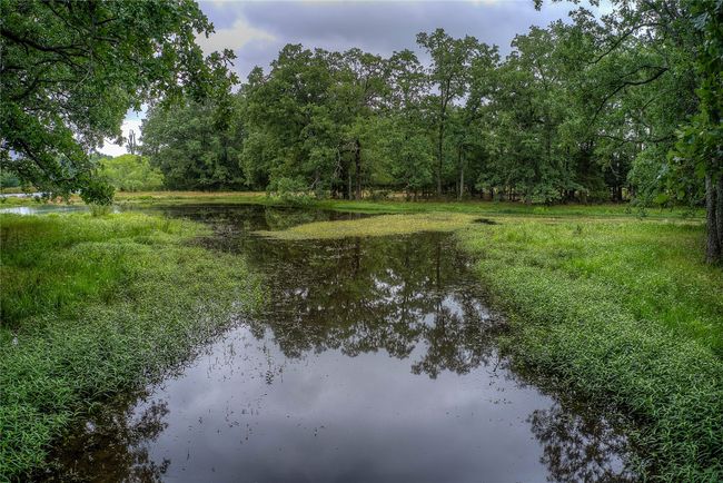 17133 Farm Road 1567 W, Home with 2 bedrooms, 1 bathrooms and null parking in Lone Oak TX | Image 23