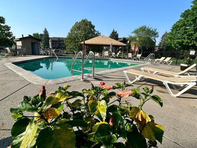 Community Pool in the Morning | Image 26
