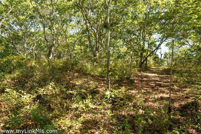 4 Cedar Ln, Home with 0 bedrooms, 0 bathrooms and null parking in Chilmark MA | Image 14