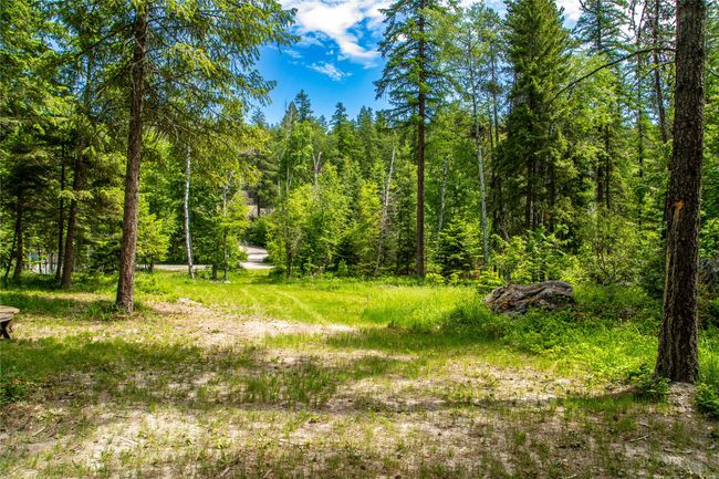 695 Latigo Ln, Home with 0 bedrooms, 0 bathrooms and null parking in Bigfork MT | Image 18