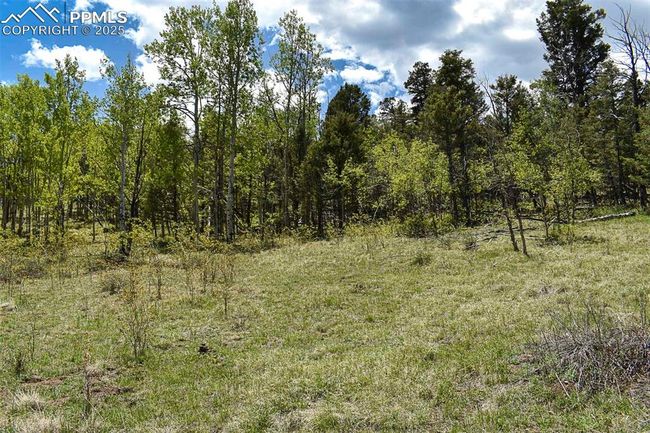 130 Eleven Mile State Park, Home with 0 bedrooms, 0 bathrooms and null parking in Lake George CO | Image 10