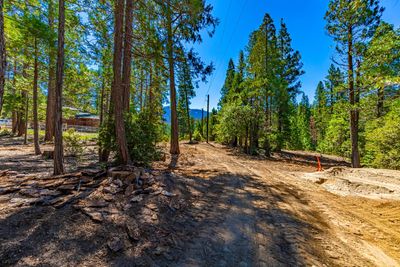 0 River Street, Home with 0 bedrooms, 0 bathrooms and null parking in Wawona CA | Image 3