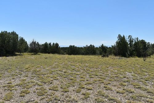 TBD County Road 93 9, Model, CO, 81059 | Card Image