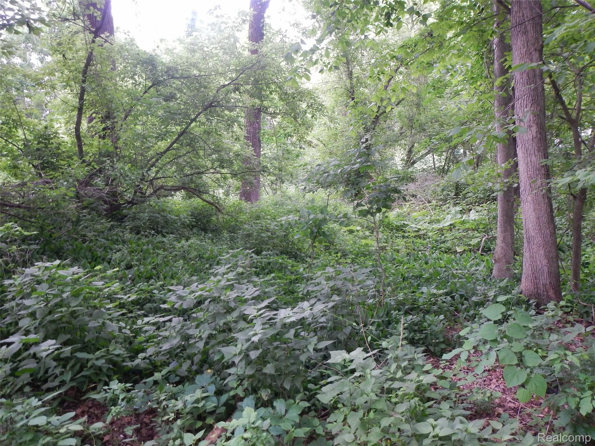 Land in Lake Orion Village 2
