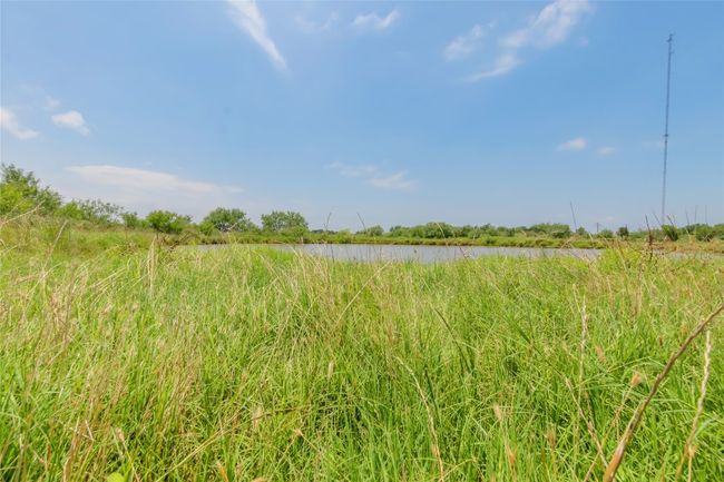 View of local wilderness with a nearby body of water | Image 14