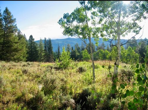 33413 Tewa Way, Oak Creek, CO, 80467-8606 | Card Image