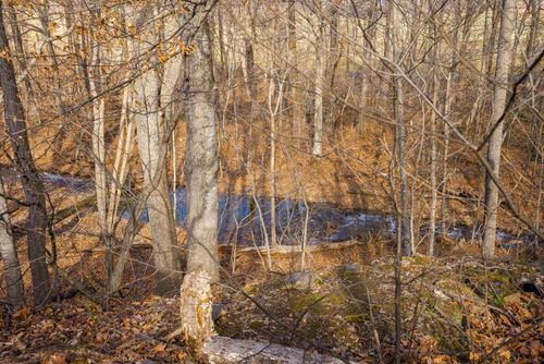 2219 Hewitt Rd, SWOOPE, VA, 24479-2470 | Card Image