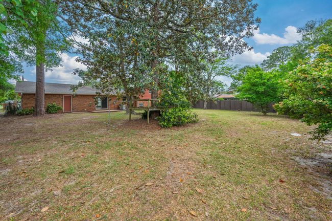 43-web-or-mls-11-birch-ave | Image 44