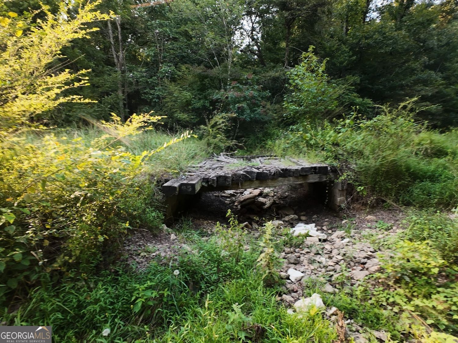 Land in Kingston 4