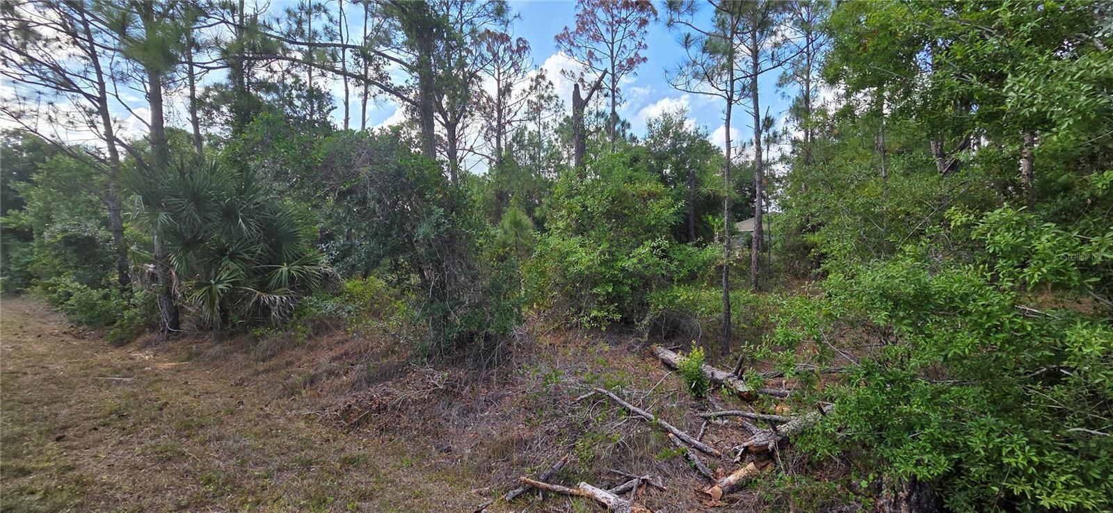 Land in PUNTA GORDA 5