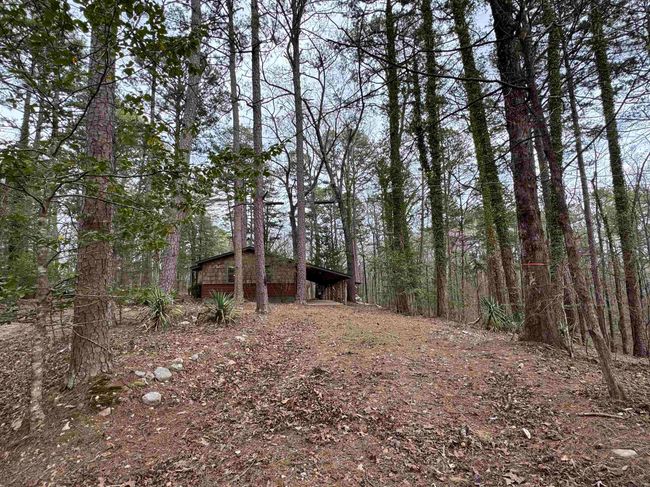 58 Trails End Ln, House other with 3 bedrooms, 2 bathrooms and null parking in Mount Ida AR | Image 14