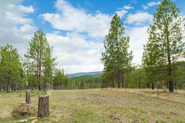 Mountain views | Image 53