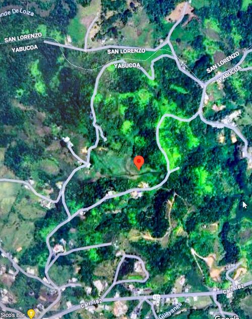camino la puente Bo Quebrada Arenas, San Lorenzo, PR, 00754 | Card Image