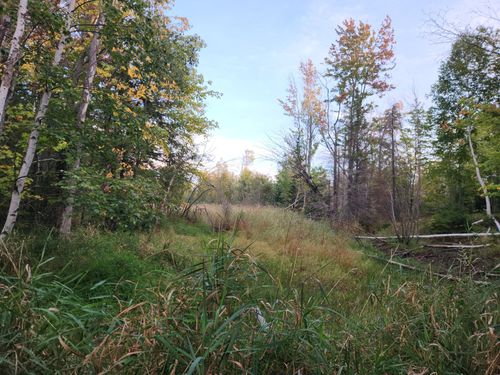 40AC OFF Noble Rd, Ontonagon, MI, 49953 | Card Image