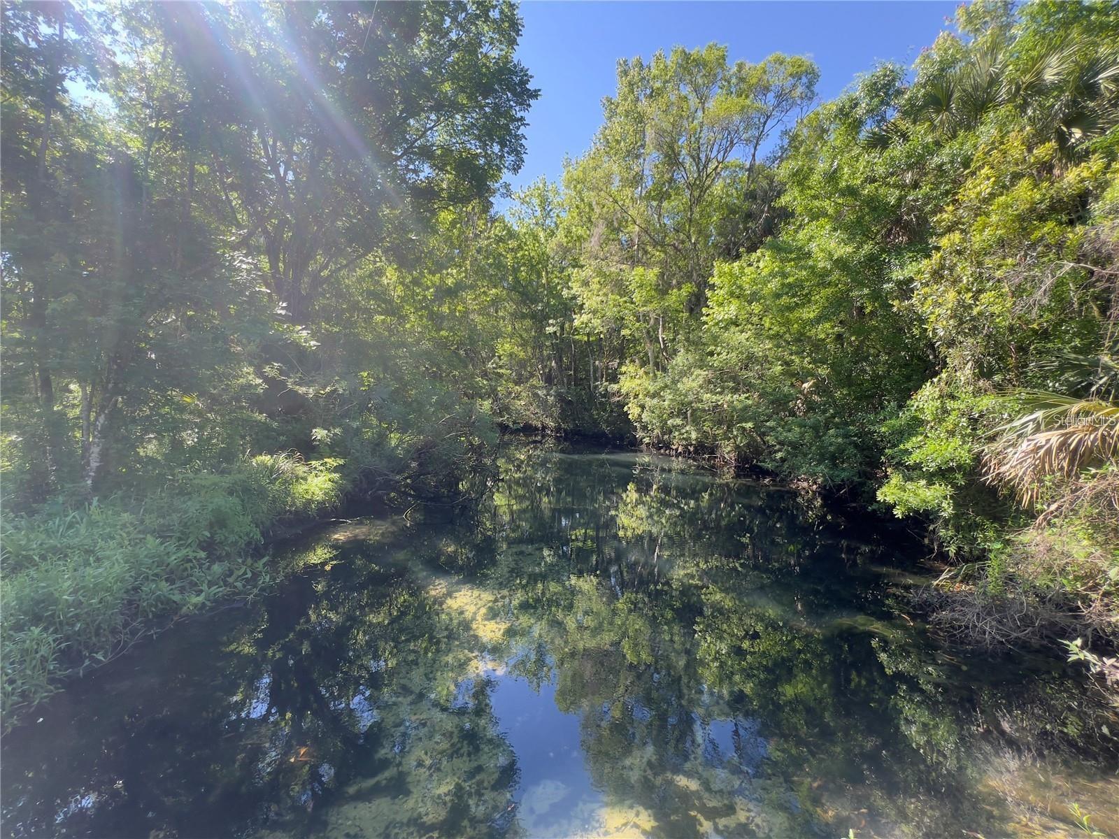Land in CRYSTAL RIVER 4