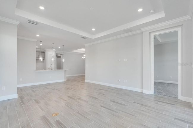 8113 Moonbeam ~ Ready Now | Image 15