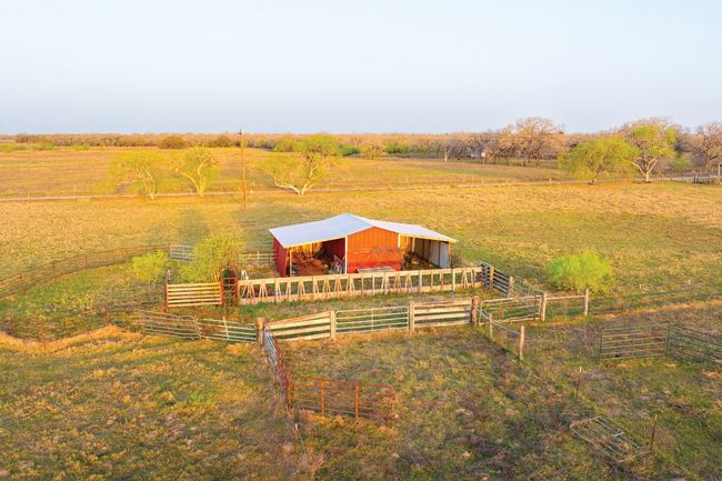 View of local wilderness | Image 26
