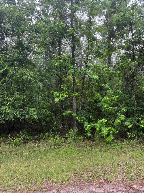 TBD LOT 561 Tbd Eagle Bluff Loop Lot 561, Avinger, TX, 75630 | Card Image