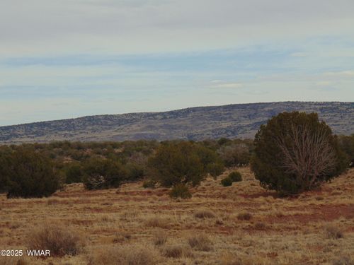 42 N5576, Concho, AZ, 85924-1170 | Card Image