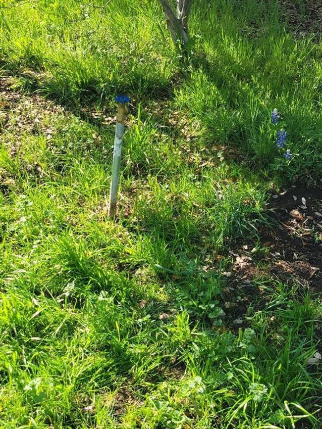 138 County Road 1625, For Sale in Clifton Zoocasa