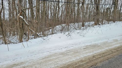 207 Goodfellow Rd, Codrington, ON, K0K1R0 | Card Image