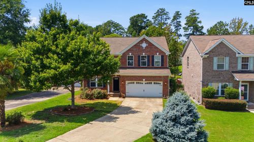 124 Palm Street, Chapin, SC, 29036 | Card Image
