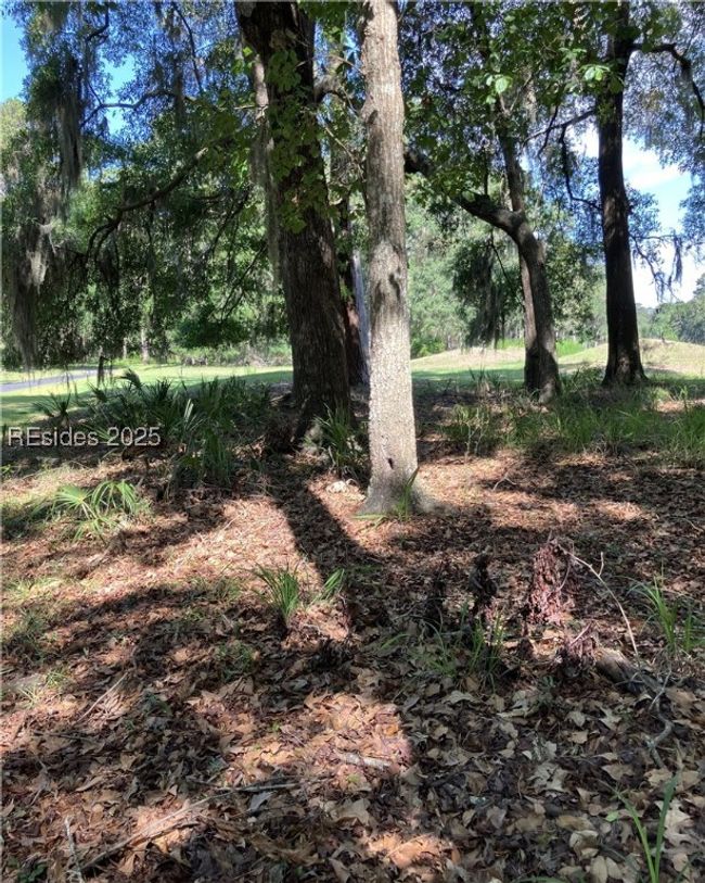 41 Volunteers Rdg, Home with 0 bedrooms, 0 bathrooms and null parking in Daufuskie Island SC | Image 4