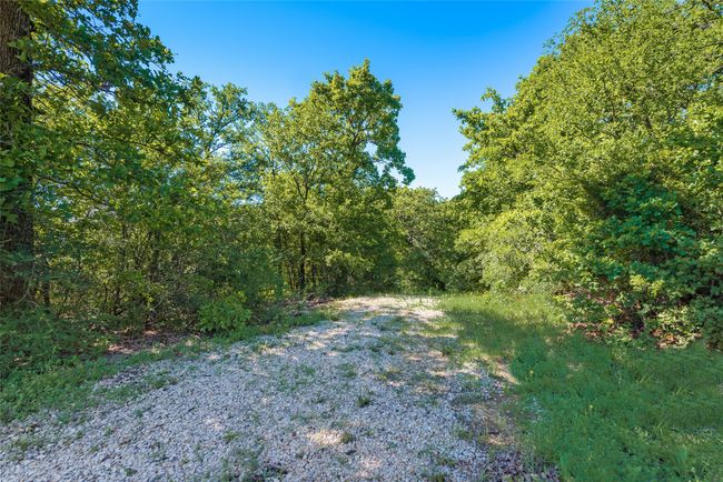 View of landscape | Image 6