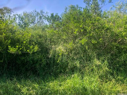 000 County Road 619, Skidmore, TX, 78389 | Card Image