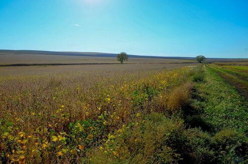 ne4-sec-21-t106-r-76-lyma-160 AC 236th St, Kennebec, SD, 57544 | Card Image