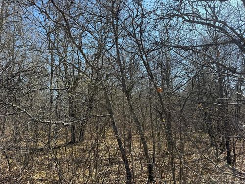 Lot 53 E Wilderness Ct, Solon Springs, WI, 54873 | Card Image