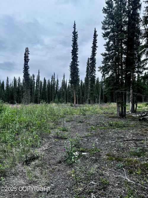 L13 Borealis Ave, Tok, AK, 99780 | Card Image