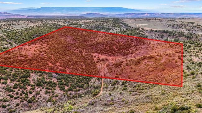 7465 Uncompahgre Divide Rd, Home with 3 bedrooms, 1 bathrooms and null parking in Whitewater CO | Image 35