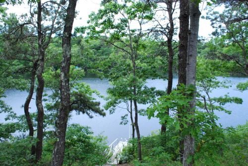 184 Fells Pond Rd, Mashpee, MA, 02649-4100 | Card Image