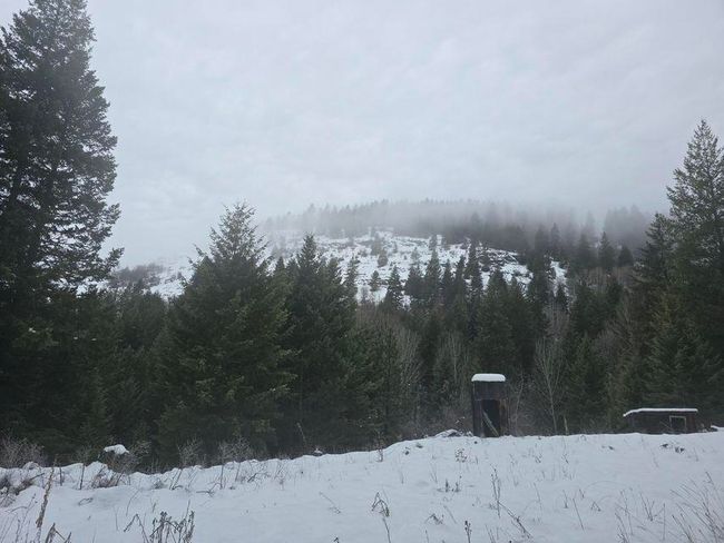 3715 Hill Loop Rd, Home with 0 bedrooms, 0 bathrooms and null parking in Kettle Falls WA | Image 7