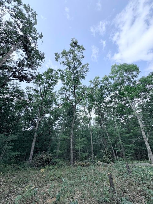 0 S Shady Grove Dr, Baldwin, MI, 49304 | Card Image